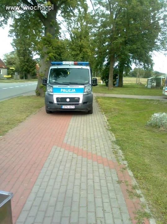 Oni  mogą