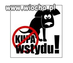 Wstyd i żenada