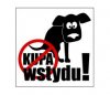 Wstyd i żenada