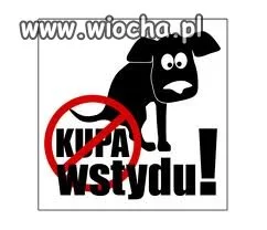 Wstyd i żenada
