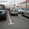 Mistrz parkowania