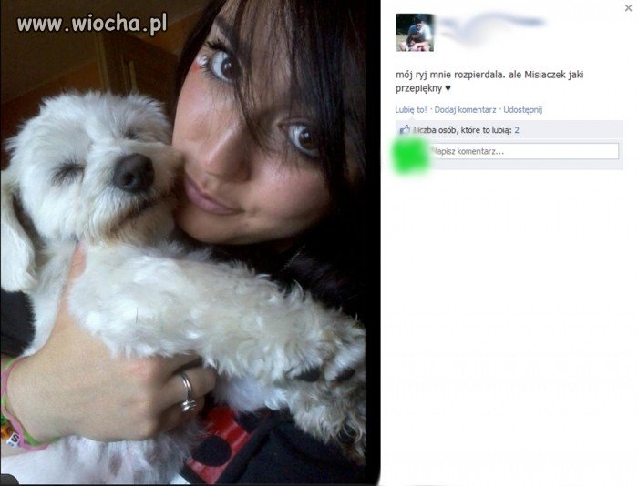 Nie ma to jak szczerość