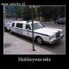 U nas jeszcze tego nie ma 