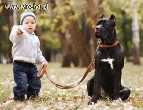 Widzisz tego z kamerką w krzakach ?