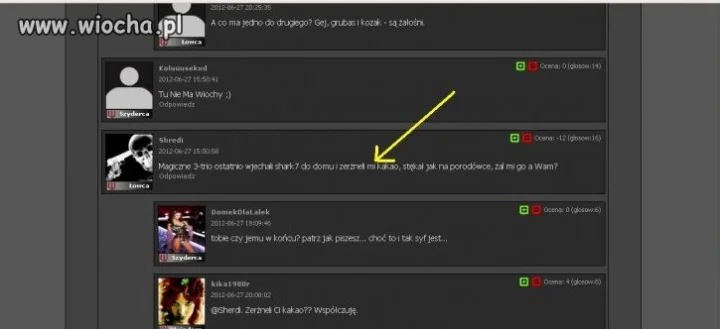 Informacja bez przerobienia o Shredim