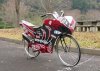 Żaden motor