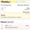 Po co takie głupie pytania?