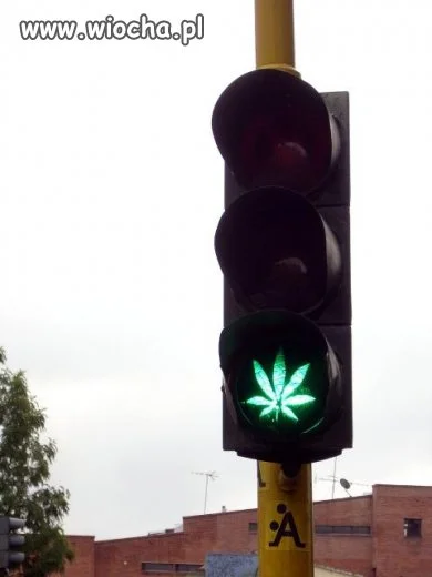 Światła na Jamajce