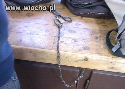 W jednej ze szkół nawet nożyczki są na łańcuchu