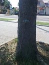 Stacja dokująca 