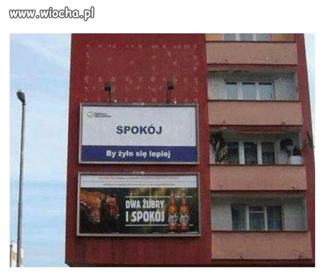 Dwa Żubry
