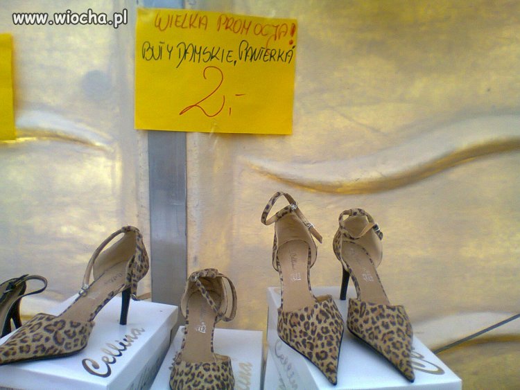 Wyszukany produkt