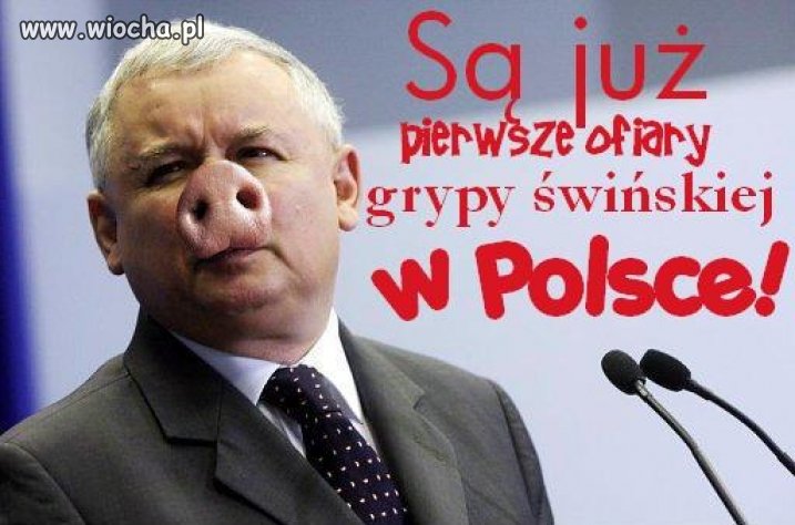 Pierwsza ofiara Świńskiej grypy 