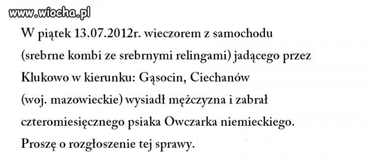 Kradzież psa