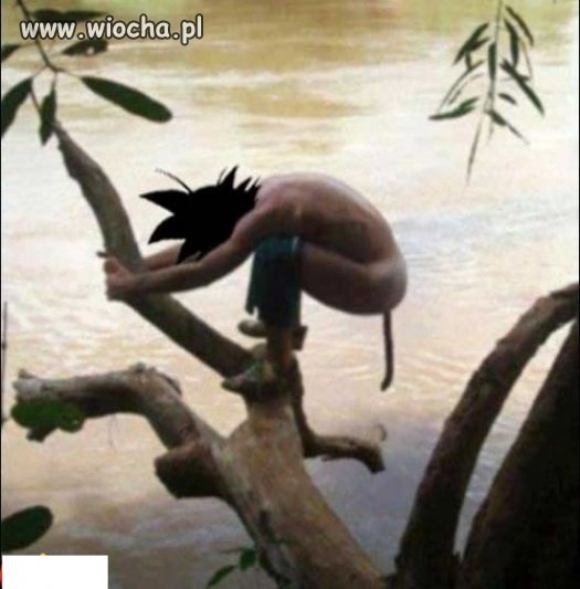Tarzan