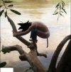 Tarzan