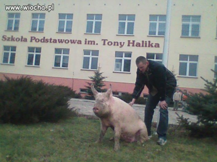 I to w dodatku na tle szkoły ...