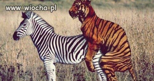 Najpierw numerek, potem obiadek