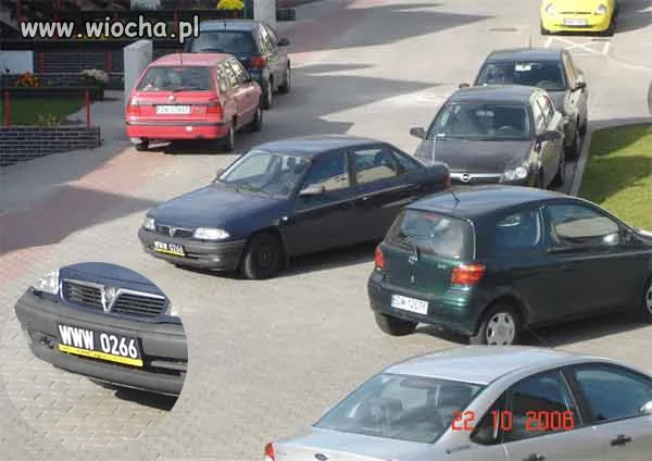 Mistrz kierownicy