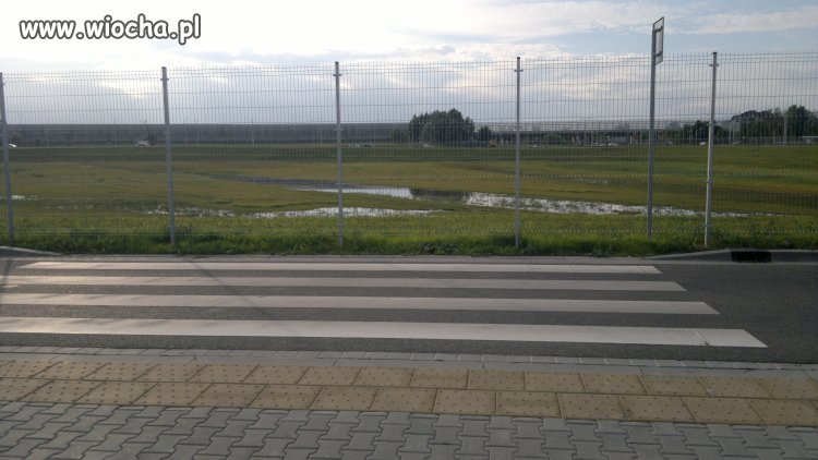 Polskie firmy budowlane 