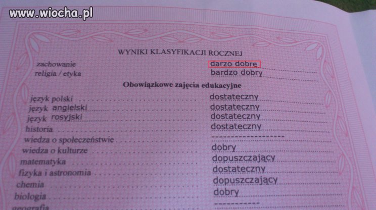"Darzo" dobre świadectwo