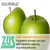 Nasz "kochany" ZUS