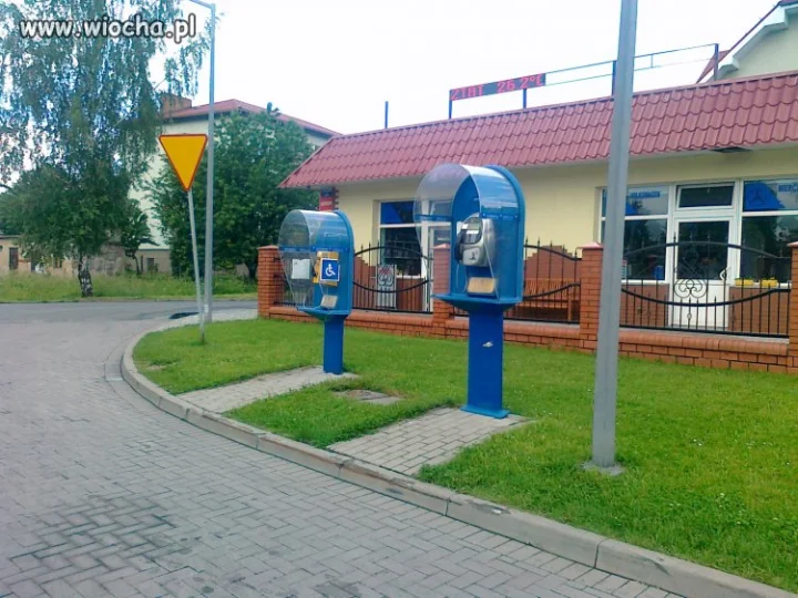TP - postępowa firma