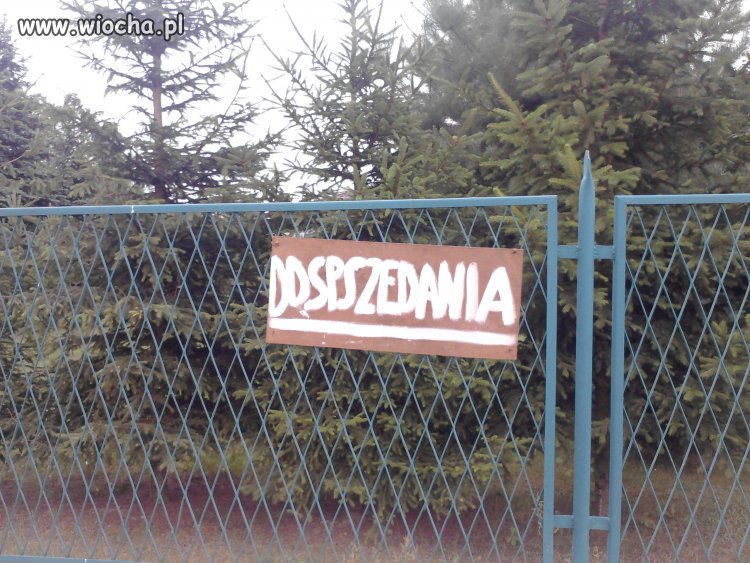 Z polszczyzną za pan brat