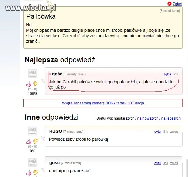 Pa lcówka