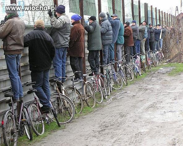 Wierni Kibice...