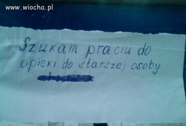 Mistrz ortografii zawsze czujny 