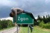 Zgon