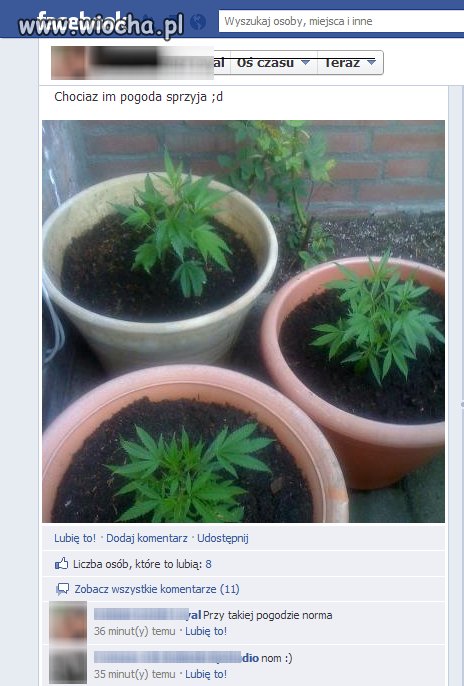 Jakiś debil tylko dodaje coś takiego na Facebooka