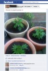 Jakiś debil tylko dodaje coś takiego na Facebooka