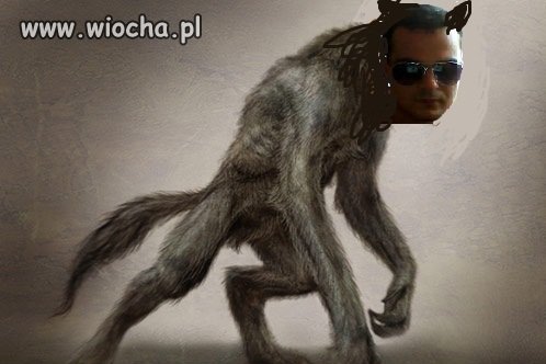 Chłopak Wilkołak.