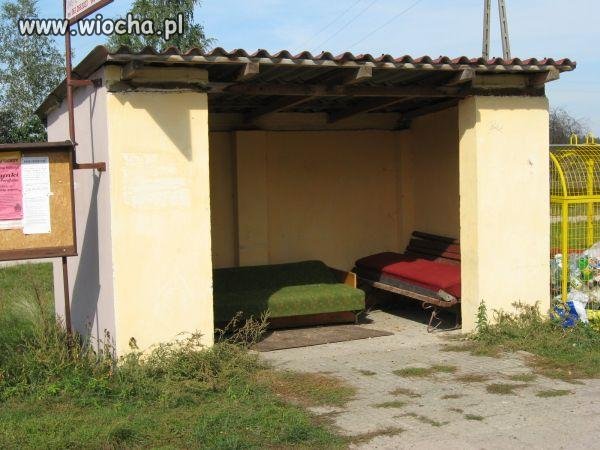 Takie rzeczy tylko w Polsce
