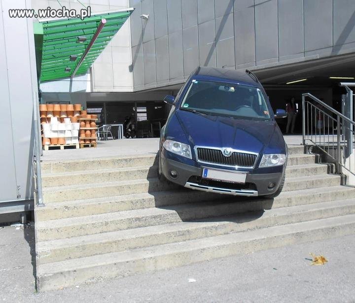 Kierowca powinien dostać odznakę
