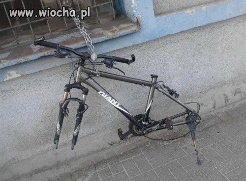 To musieli być Polacy !