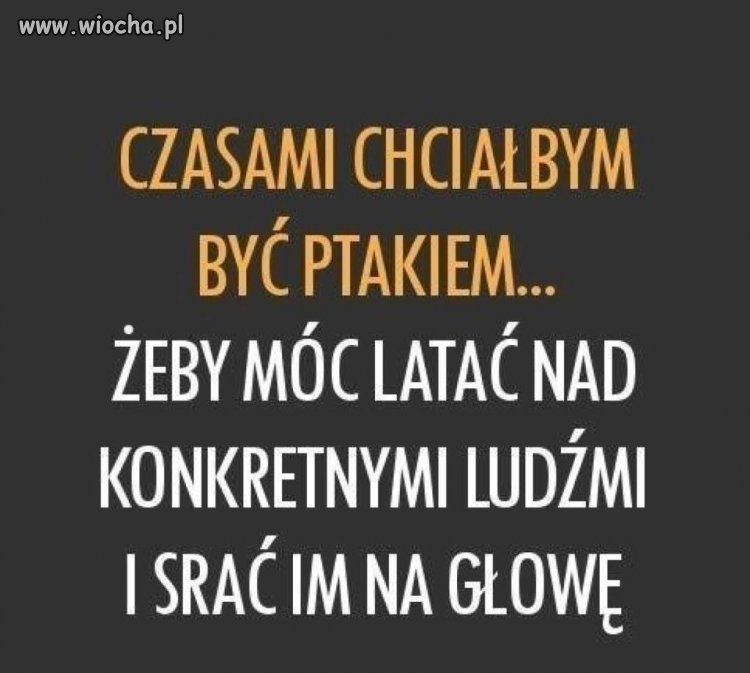DLA WSZYSTKICH FAŁSZYWYCH LUDZI!!!