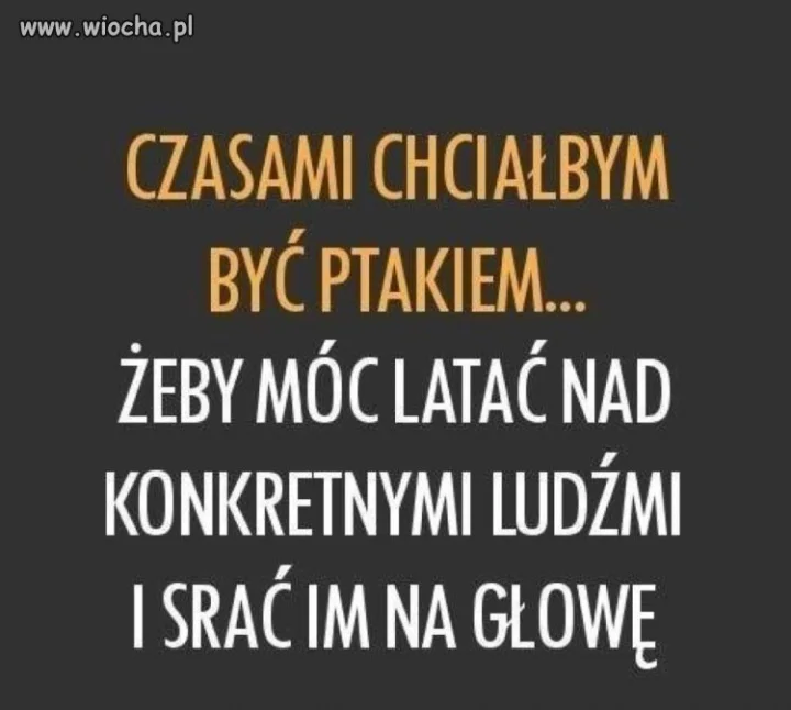 DLA WSZYSTKICH FAŁSZYWYCH LUDZI!!!