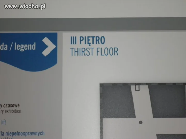Profesjonalne tłumaczenie