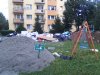 Szanuj zieleń