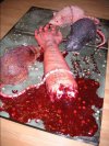 Tort z moich ostatnich urodzin