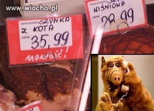 To co dziś na kolację?