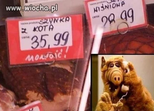 To co dziś na kolację?