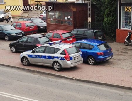 Polska Policja.