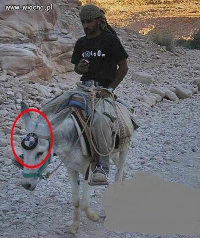 Jak się nie ma co się lubi