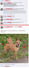 Szczęśliwa miłość