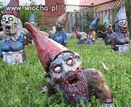 Noc żywych