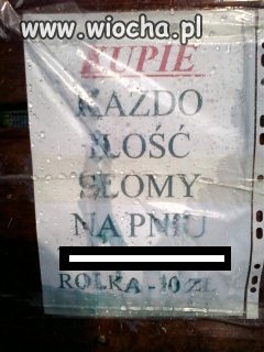 Na pewno kupisz "KAZDO" 